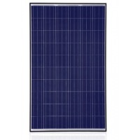 Trina Solar TSM-PA05.08, 255 Watt Solar Panel, 60 Cell Poly, Black  